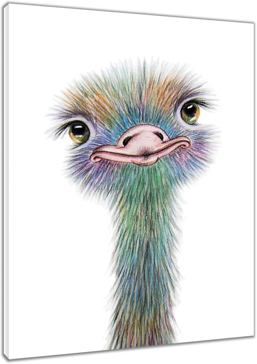 Ostrich canvas wall art, watercolor cute animal art, stretched framed, ready to hang.